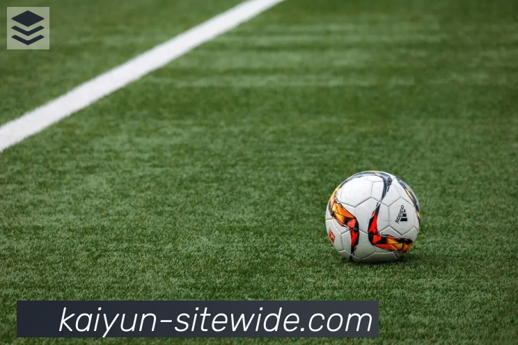 开云平台生态图