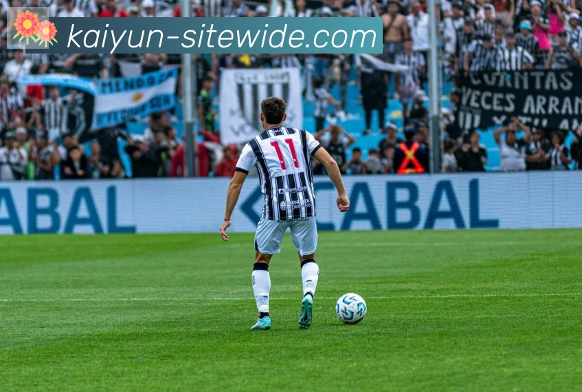 App Interface Preview